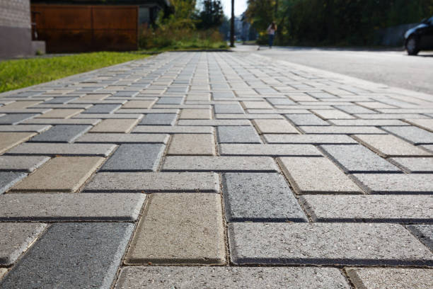 Best Driveway Paving Contractor  in Page, AZ