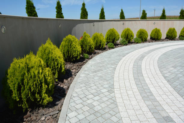 Best Residential Paver Driveway  in Page, AZ